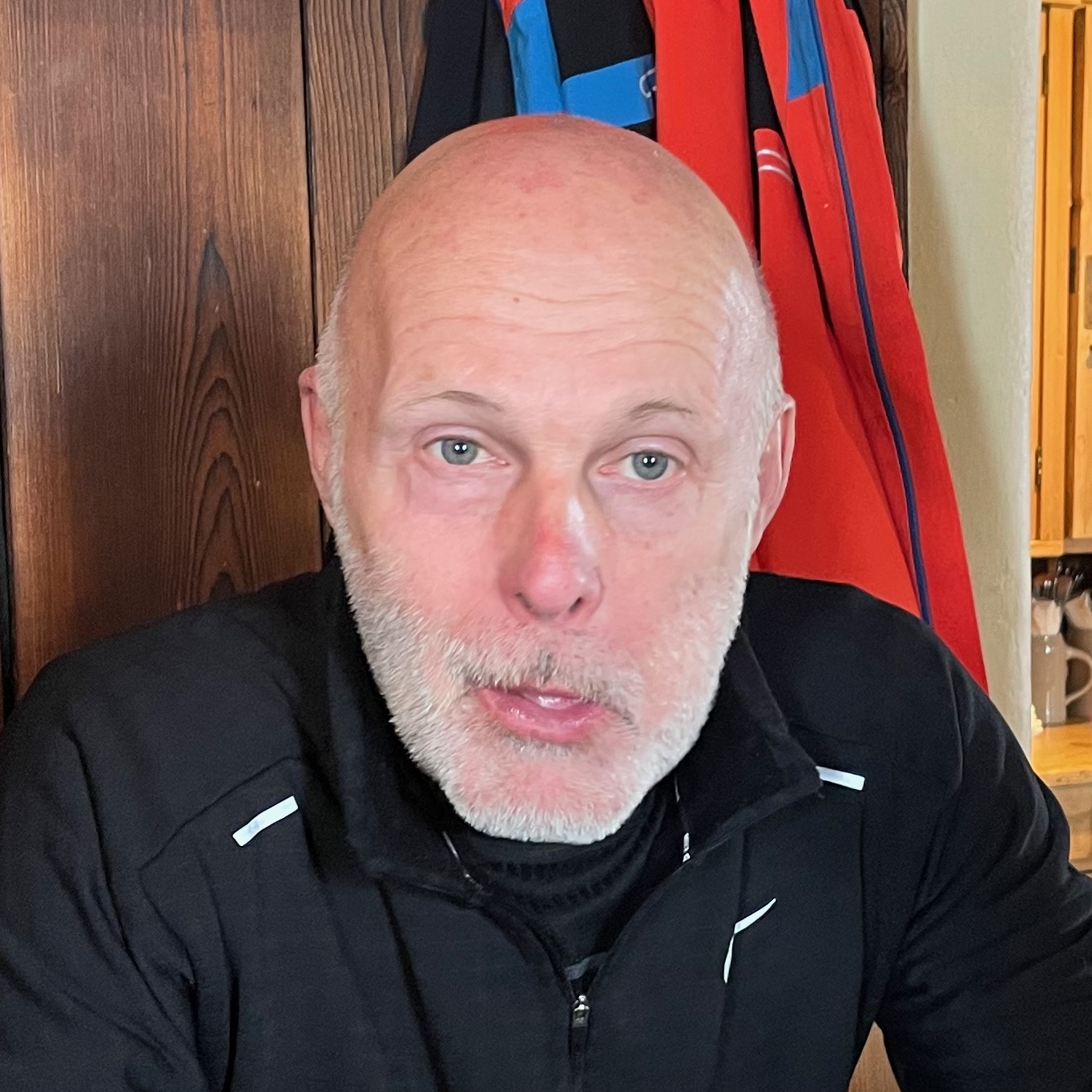 Aleš